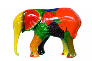 Feeling Fruity GoElephant     